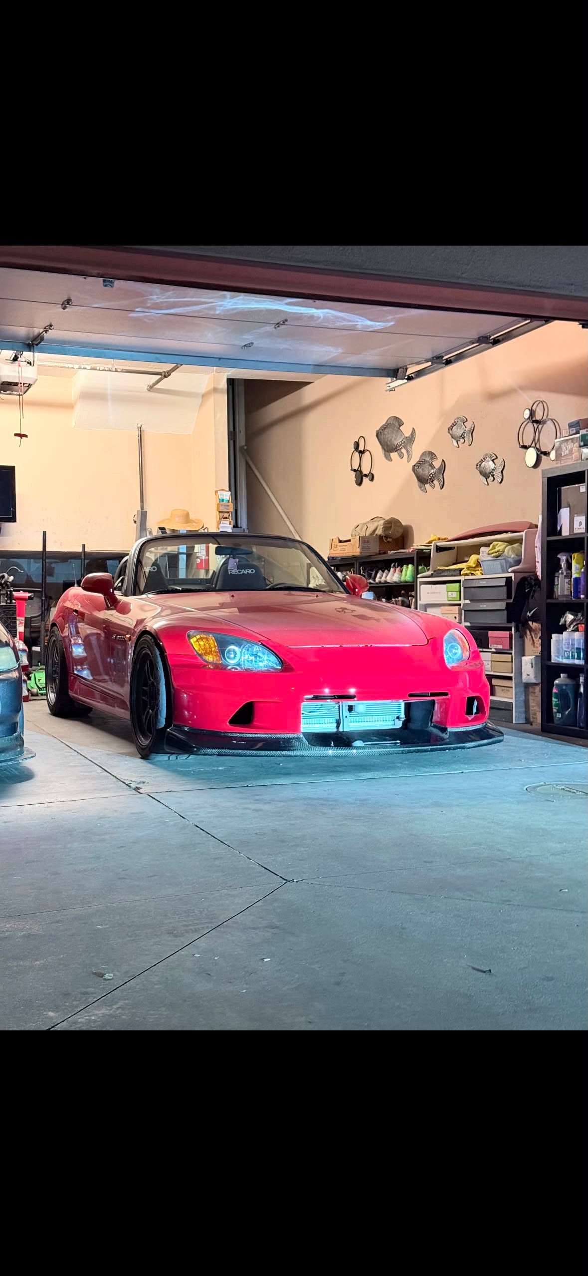 S2000 Red // DC2 Integra Grey Custom Build Request