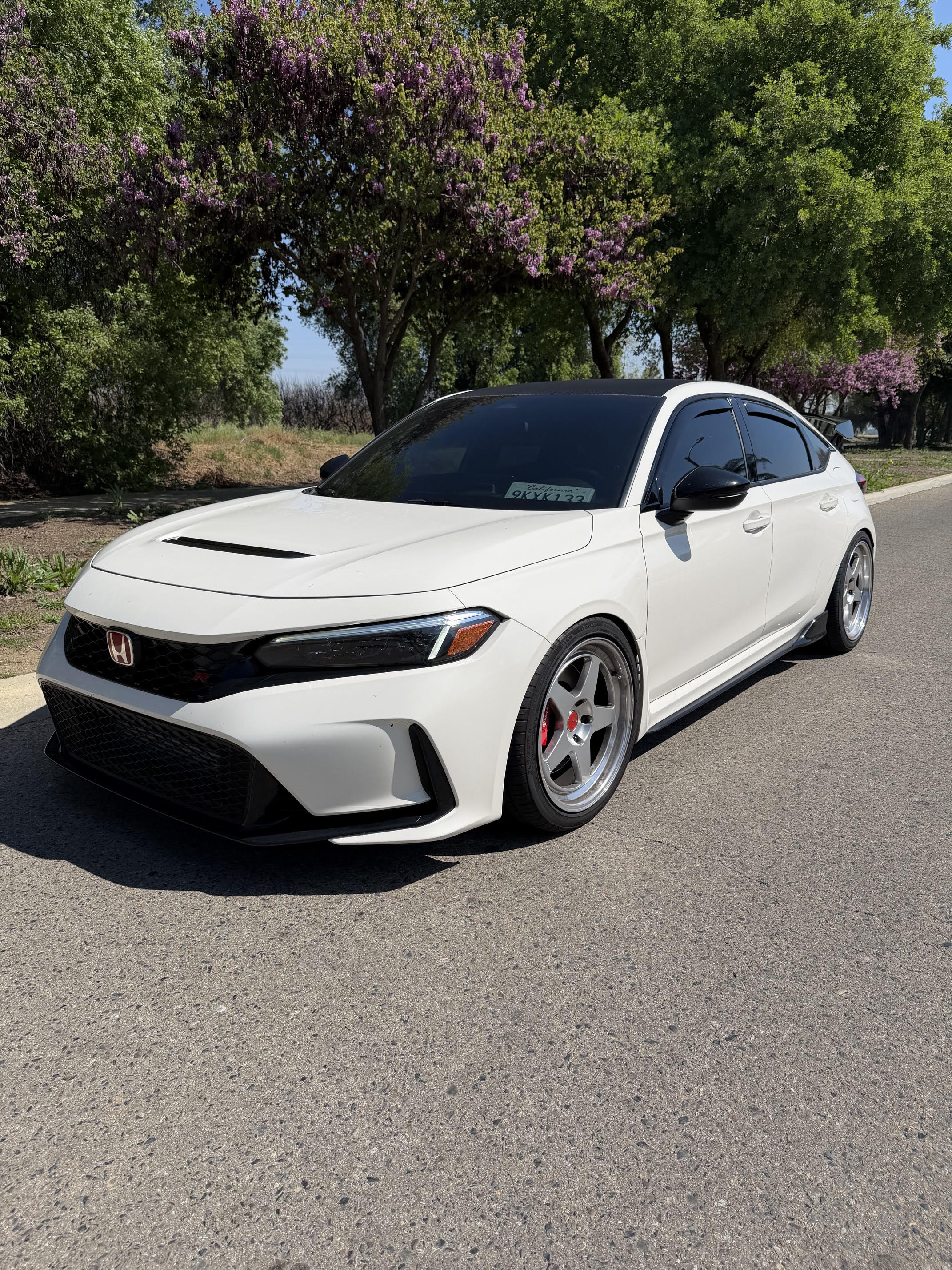 Pedro Custom (FL5 WHITE + NUMBER PLATES + REGAMASTER SILVER)